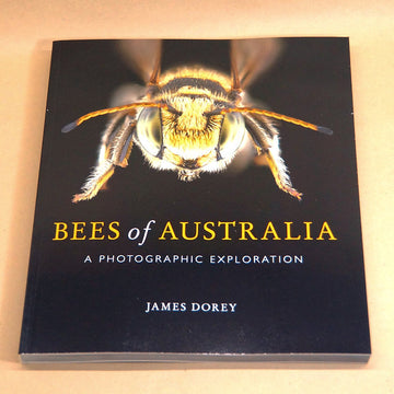 Bees of Australia - A Photographic Exploration